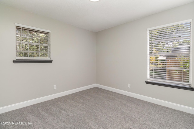 carpeted empty room with plenty of natural light