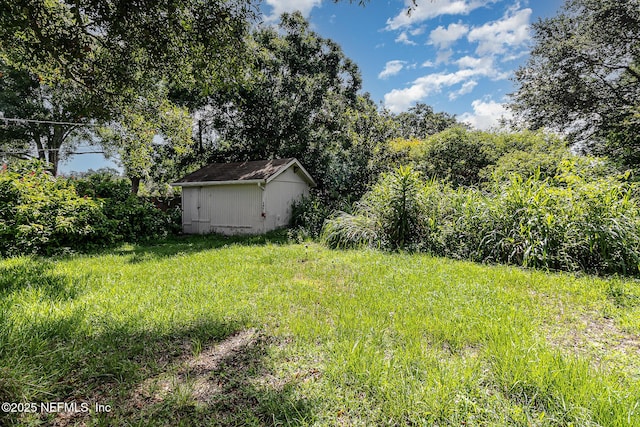 view of yard with a storage unit