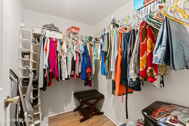 spacious closet featuring wood-type flooring