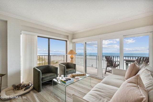 living room featuring a water view and crown molding