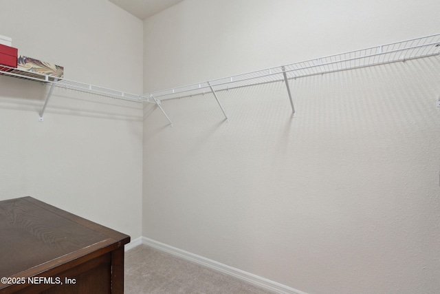 spacious closet with light carpet