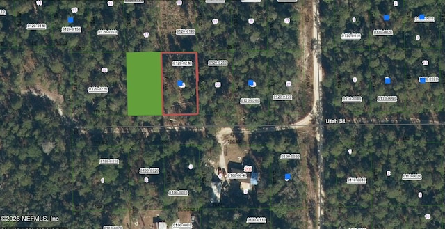 206 Utah St, Satsuma, FL 32189