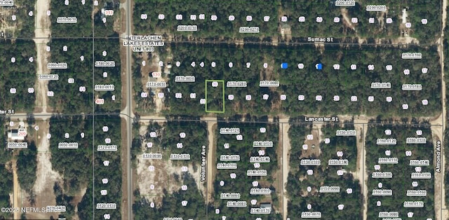 124 Lancaster St, Interlachen, FL 32148 - photo 6