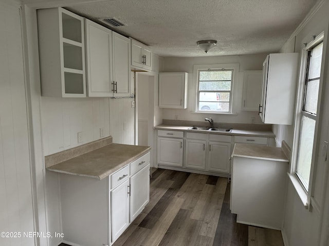 kitchen with sink, dark wood-type flooring, a textured ceiling, and white cabinetry