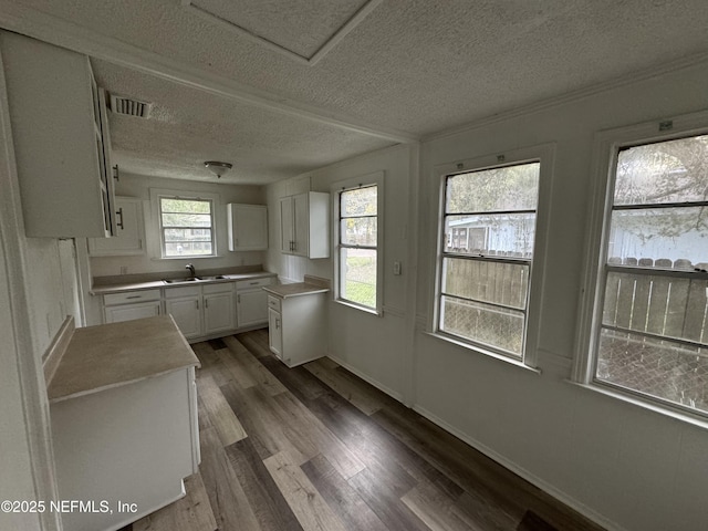 kitchen featuring white cabinets, a textured ceiling, dark hardwood / wood-style flooring, and sink