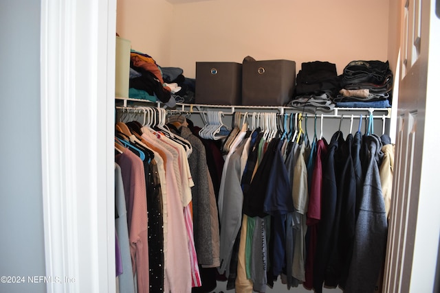 view of spacious closet