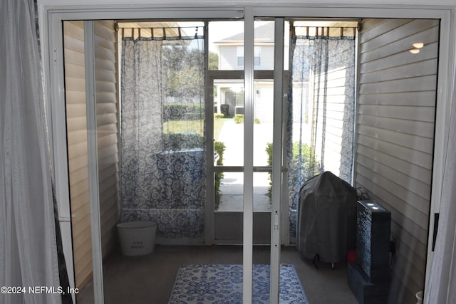 entryway with plenty of natural light