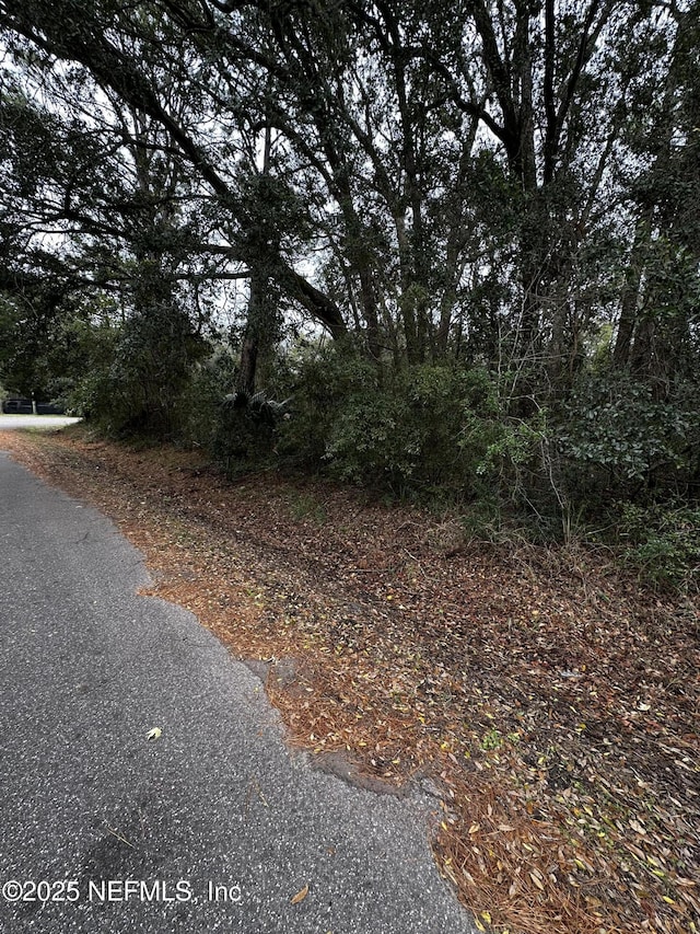 0 Baker Ln N, Jacksonville, FL 32226 - photo 4