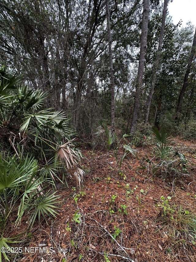 0 Baker Ln N, Jacksonville, FL 32226 - photo 5