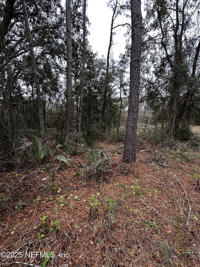 0 Baker Ln N, Jacksonville, FL 32226 - photo 6