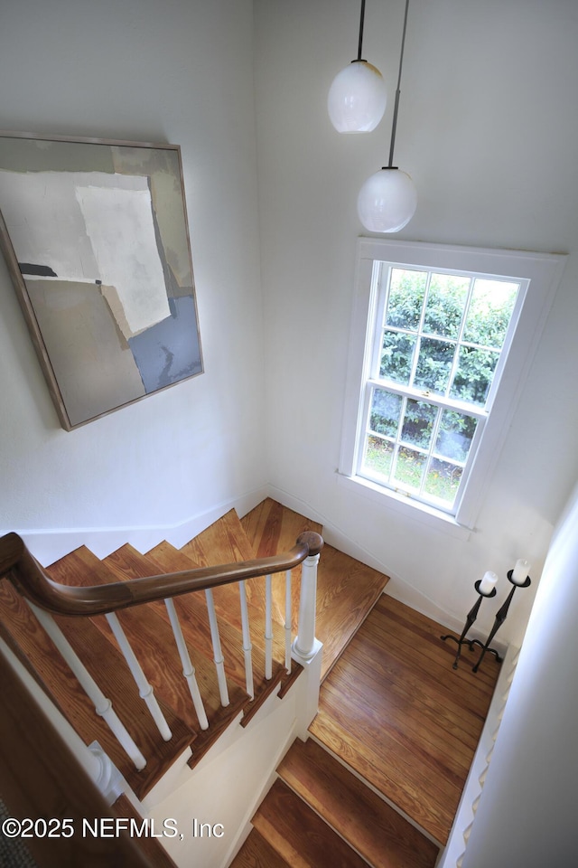 staircase featuring wood-type flooring