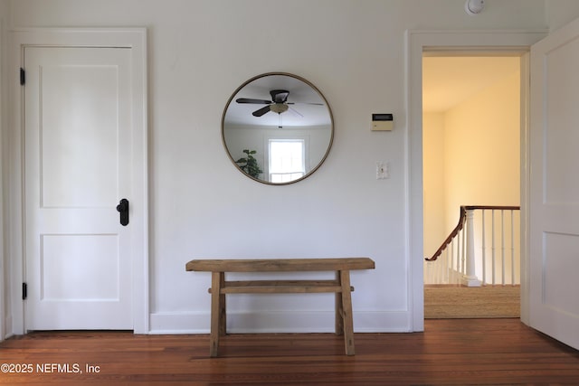 hallway featuring dark wood-type flooring