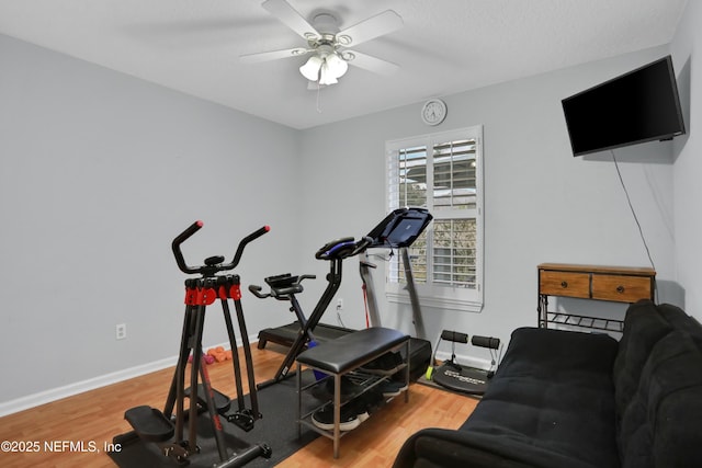 workout area with hardwood / wood-style floors and ceiling fan