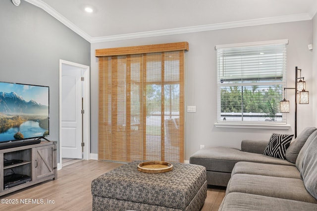 234 Thistleton Way, Saint Augustine, FL 32092 - living room with ornamental molding, light wood-type flooring, and recessed lighting