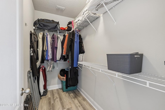 234 Thistleton Way, Saint Augustine, FL 32092 - spacious closet with wood finished floors