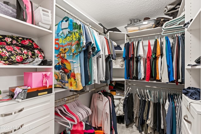 view of spacious closet