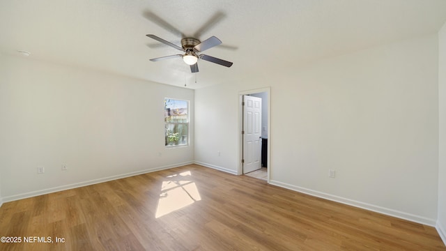 empty room featuring ceiling fan and light wood-type flooring