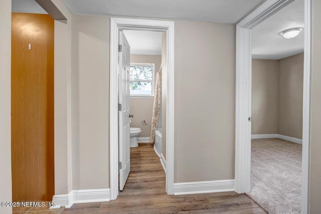 4802 Appleton Ave, Jacksonville, FL 32210 - photo 22