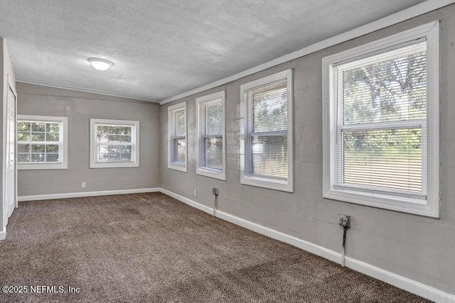 carpeted empty room featuring a textured ceiling and crown molding