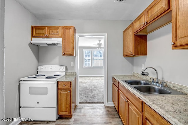 kitchen with electric range, ceiling fan, light wood-type flooring, and sink