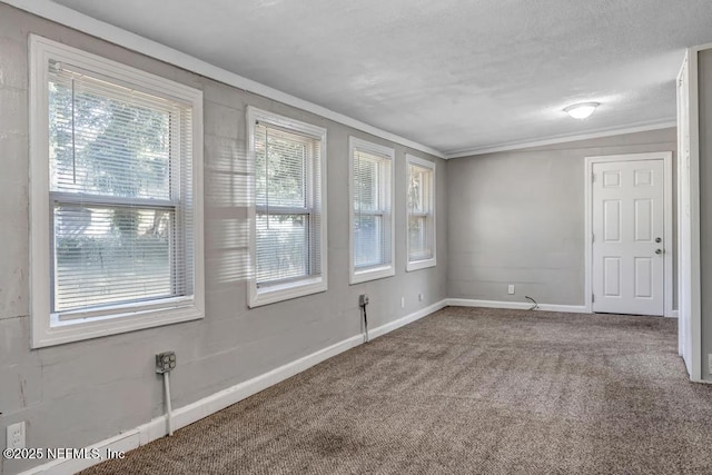 carpeted empty room with crown molding