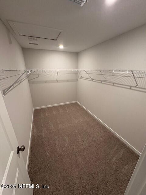 spacious closet with dark colored carpet