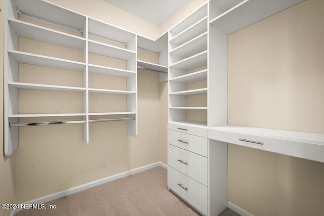 spacious closet featuring light colored carpet