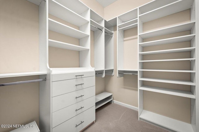 walk in closet with carpet