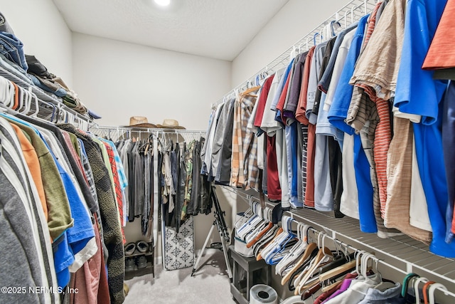 walk in closet with light colored carpet