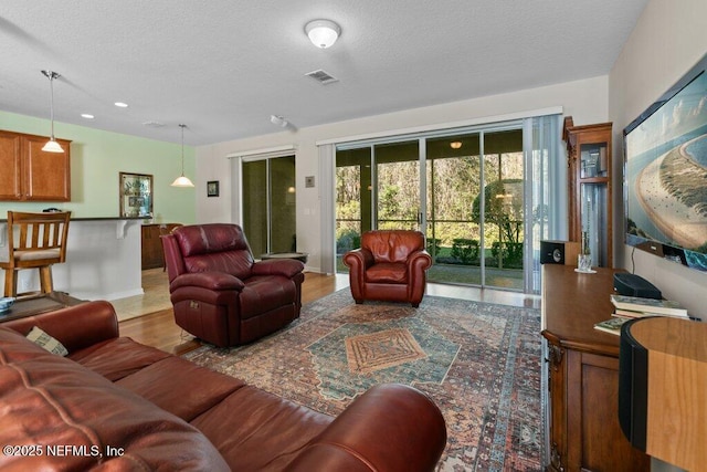 living room featuring wood-type flooring and a textured ceiling