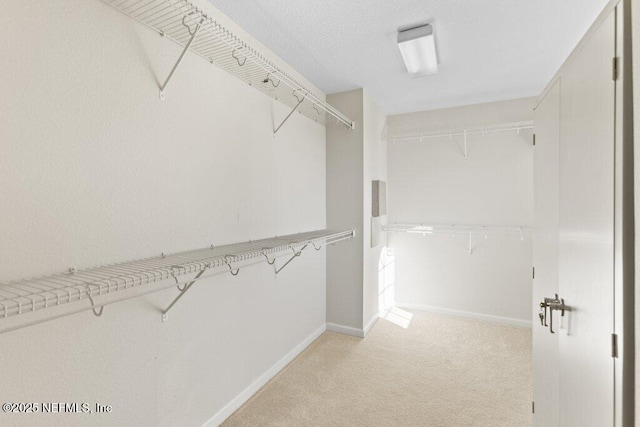 walk in closet featuring light carpet