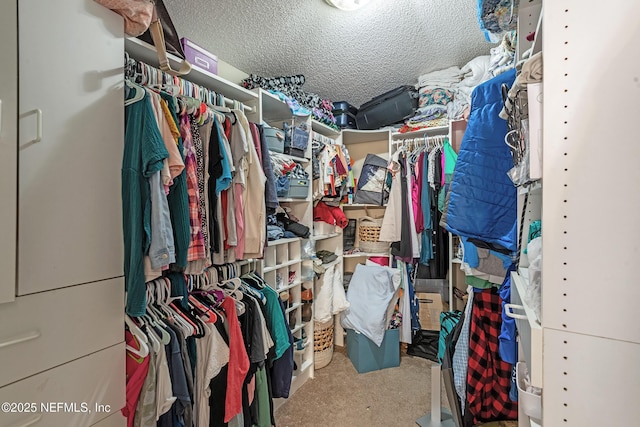 spacious closet featuring light carpet