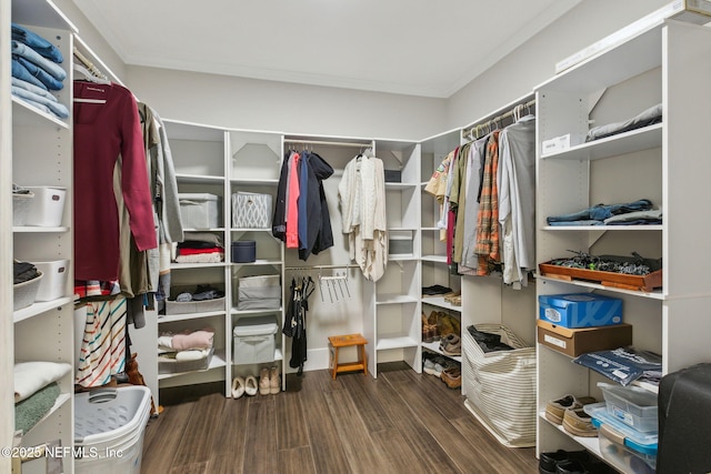 spacious closet with wood-type flooring