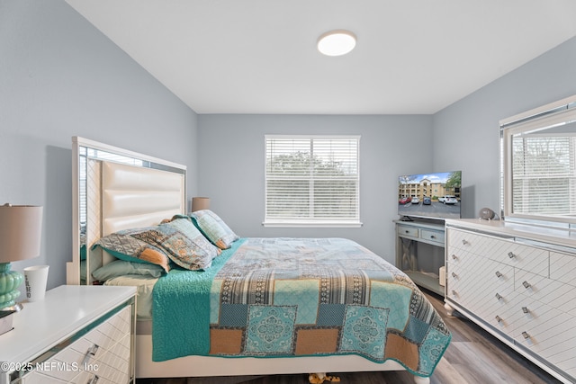 bedroom with hardwood / wood-style floors