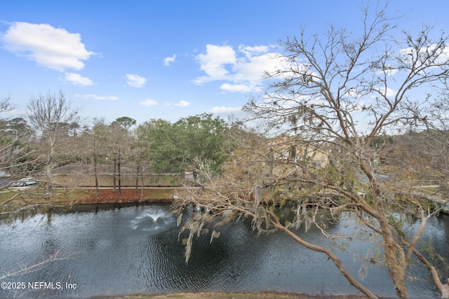 view of water feature