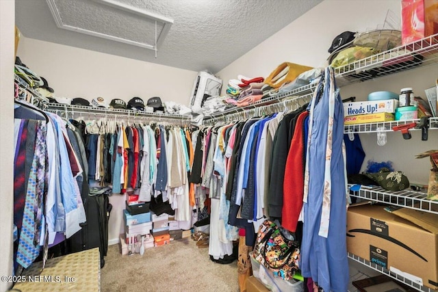 walk in closet with carpet