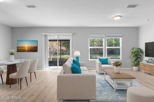 living room with a healthy amount of sunlight, a textured ceiling, and light wood-type flooring