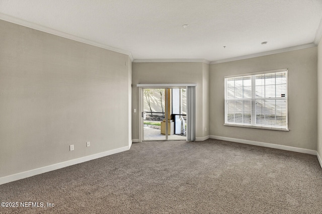 spare room featuring carpet flooring and crown molding