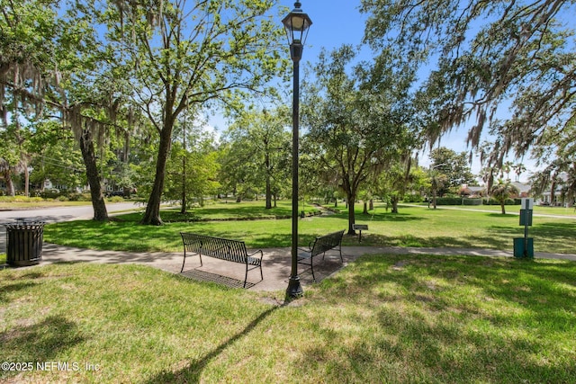 view of community featuring a lawn