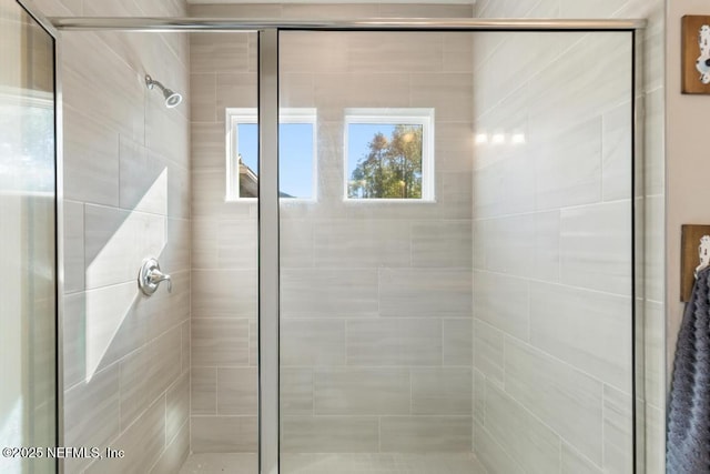 bathroom featuring a shower with shower door