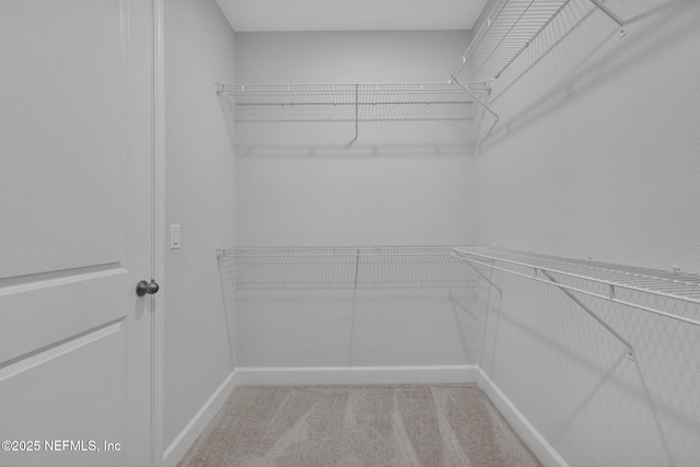 374 Sutton Dr, Ponte Vedra, FL 32081 - walk in closet with carpet