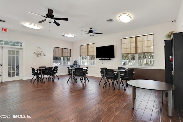 dining room featuring a wealth of natural light, dark hardwood / wood-style floors, and ceiling fan