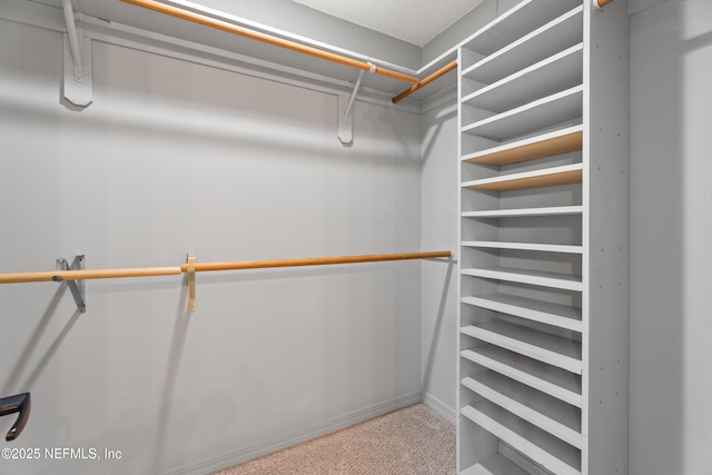 walk in closet featuring carpet flooring