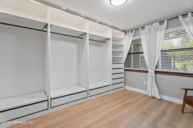 spacious closet with light wood-type flooring