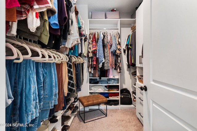 walk in closet with light colored carpet