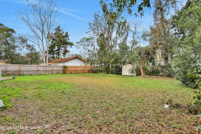 view of yard featuring a storage shed