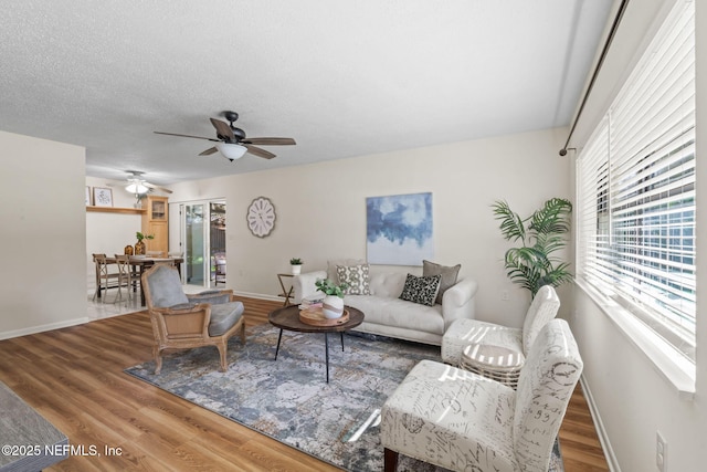 living room with ceiling fan and hardwood / wood-style flooring