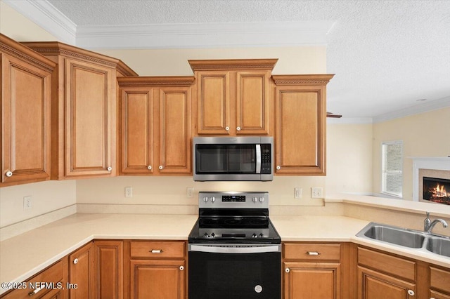 kitchen featuring crown molding, sink, stainless steel appliances, and a textured ceiling