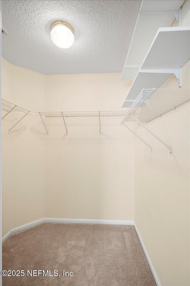 spacious closet featuring carpet flooring