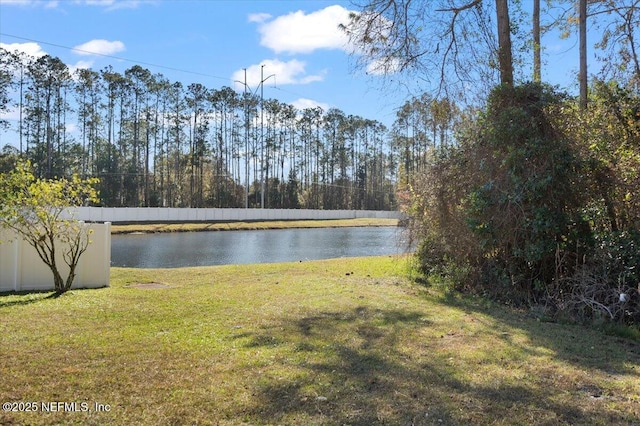 view of water feature